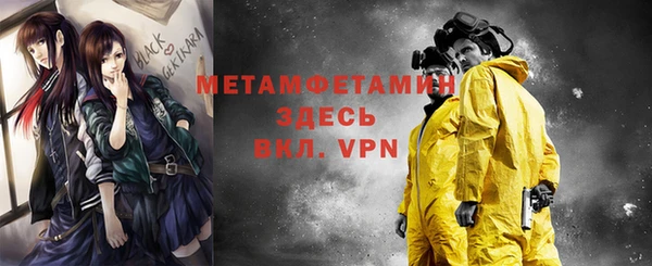прущие грибы Навашино