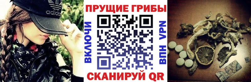Псилоцибиновые грибы MAGIC MUSHROOMS  даркнет сайт  Барнаул 