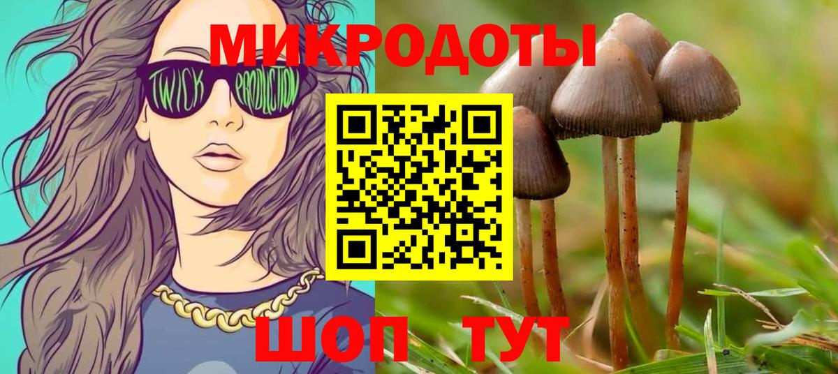 Псилоцибиновые грибы Psilocybe Барнаул