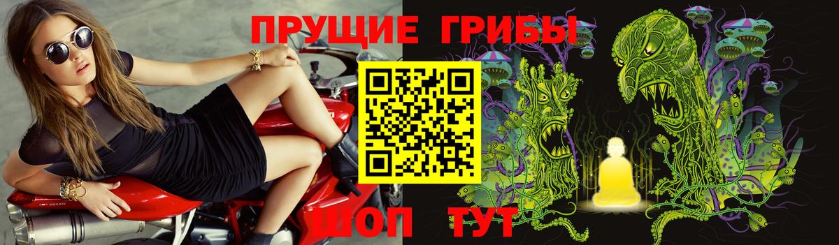 Галлюциногенные грибы Барнаул