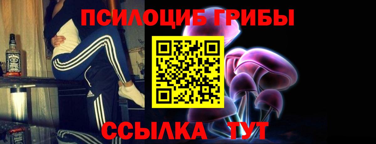 Псилоцибиновые грибы прущие грибы  где можно купить   Барнаул 